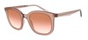 Солнцезащитные очки Giorgio Armani AR8136 58216F