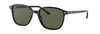 Солнцезащитные очки Ray-Ban Leonard RB2193 901/31