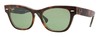 Солнцезащитные очки Ray-Ban Laramie RB4169 107314