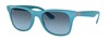 Солнцезащитные очки Ray-Ban Wayfarer Liteforce RB4195 60848F