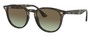 Солнцезащитные очки Ray-Ban RB4259 731/E8