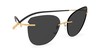 Солнцезащитные очки Silhouette TMA - The Icon 8175 7620