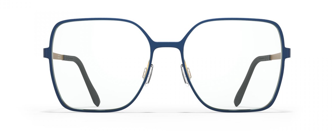 Оптическая оправа Blackfin Paros BF946 1390