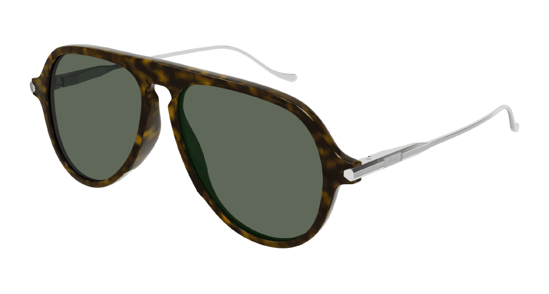 Brioni BR0104S 002