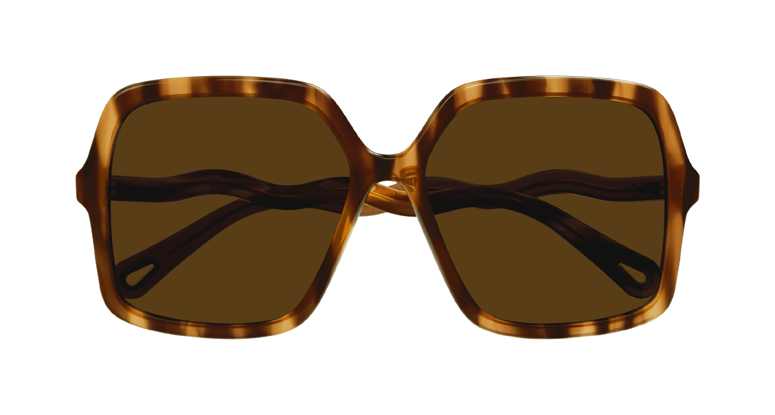 Солнцезащитные очки Chloé CH0086S 005