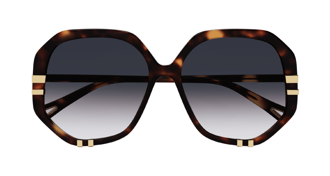 Солнцезащитные очки Chloé CH0105S 004