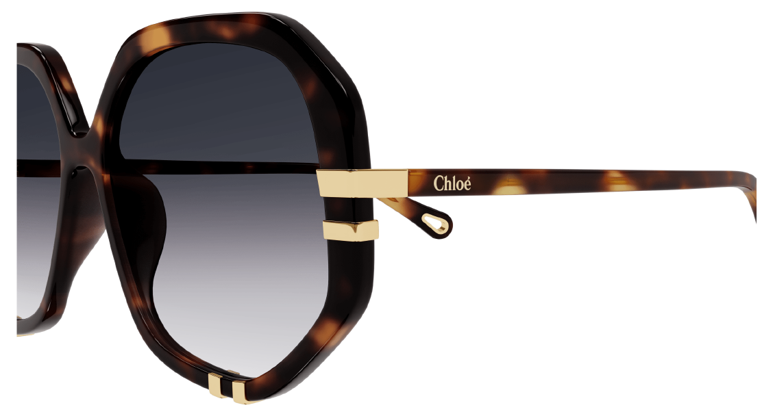 Солнцезащитные очки Chloé CH0105S 004