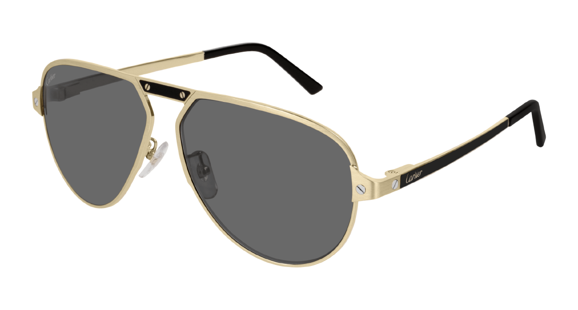 Солнцезащитные очки Cartier CT0101SA 001