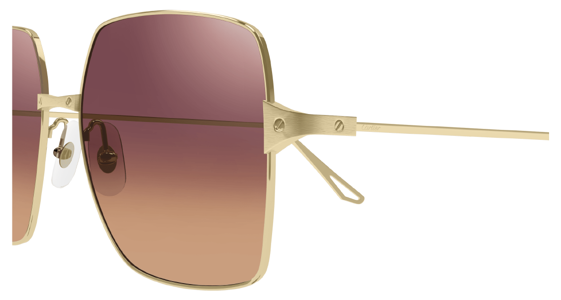 Солнцезащитные очки Cartier CT0297S 003