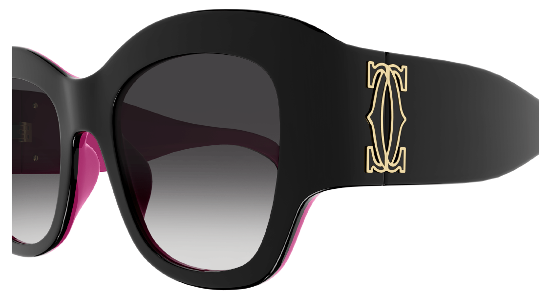 Солнцезащитные очки Cartier CT0304S 005