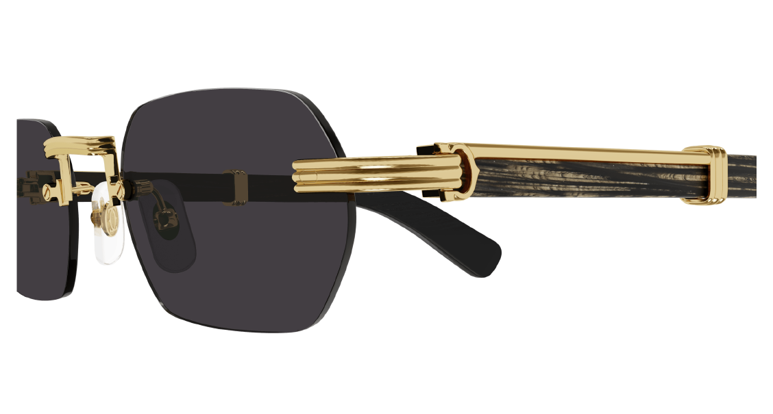 Солнцезащитные очки Cartier CT0362S 001