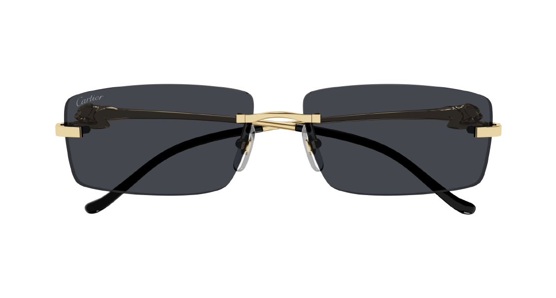 Солнцезащитные очки Cartier CT0430S 001