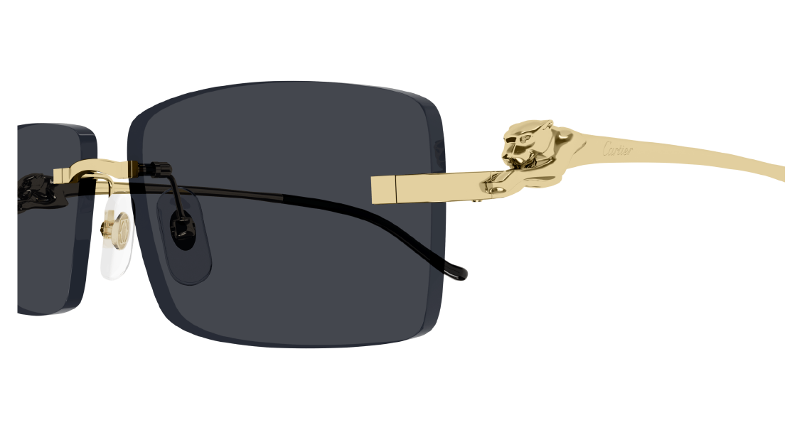 Солнцезащитные очки Cartier CT0430S 001