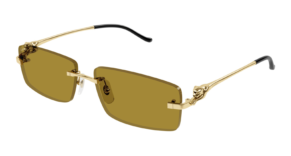 Солнцезащитные очки Cartier CT0430S 003