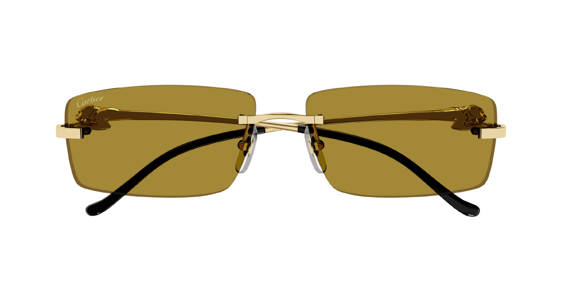 Солнцезащитные очки Cartier CT0430S 003