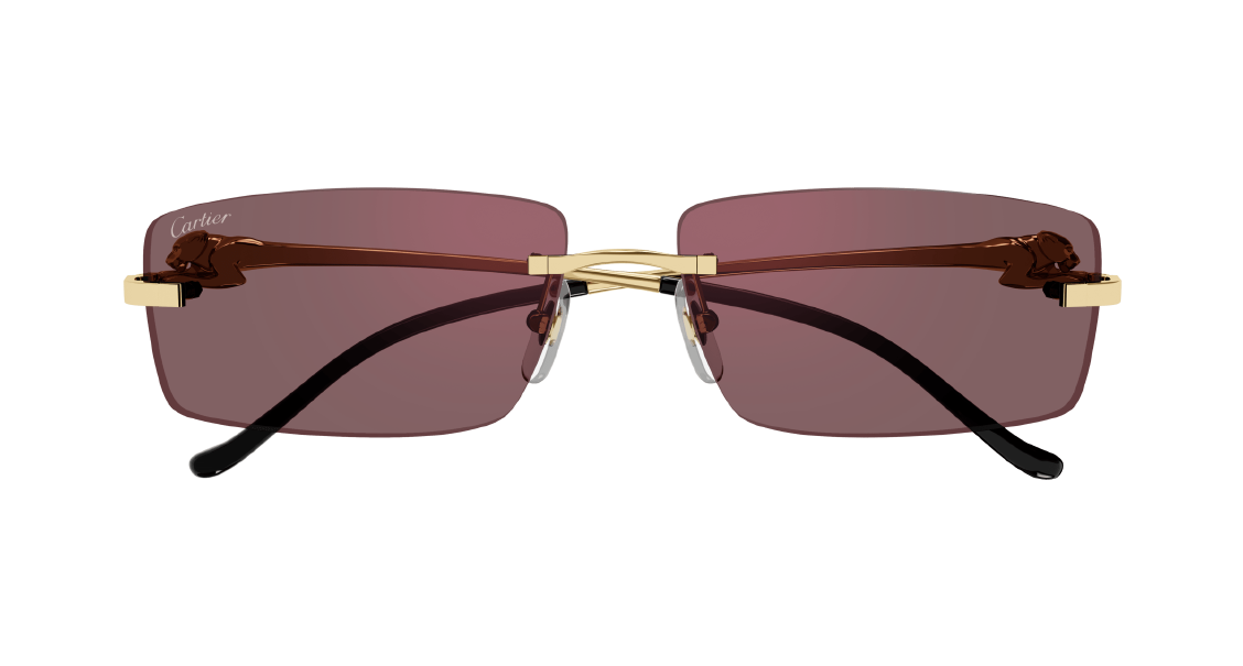 Солнцезащитные очки Cartier CT0430S 009