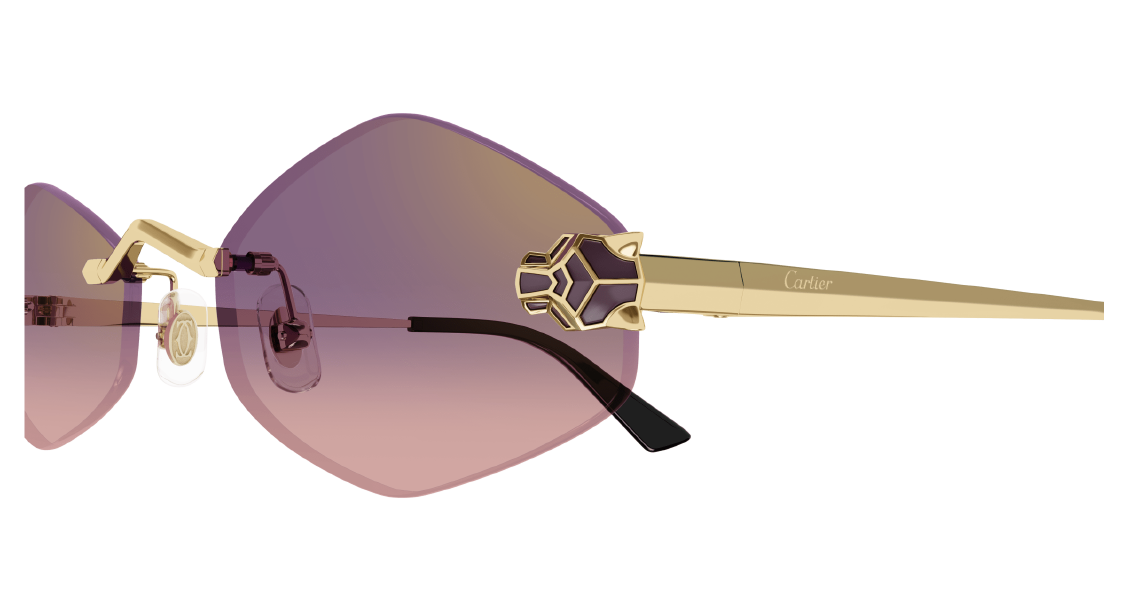 Солнцезащитные очки Cartier CT0433S 004