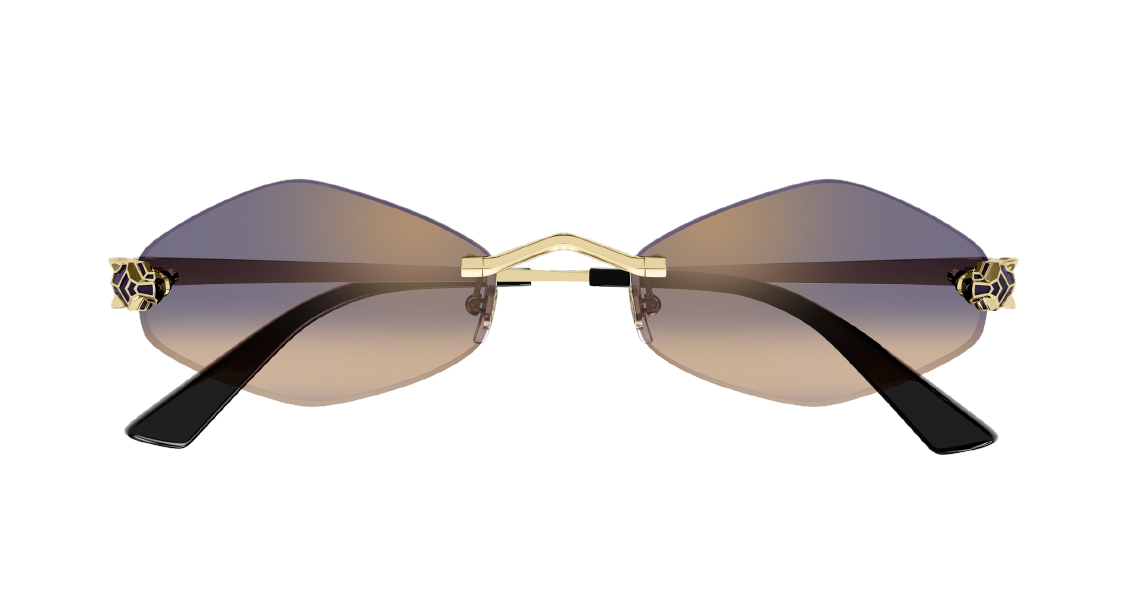 Солнцезащитные очки Cartier CT0433S 005