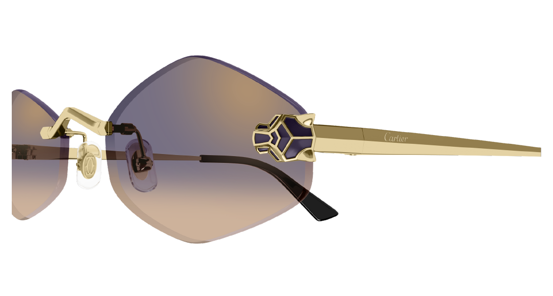 Солнцезащитные очки Cartier CT0433S 005