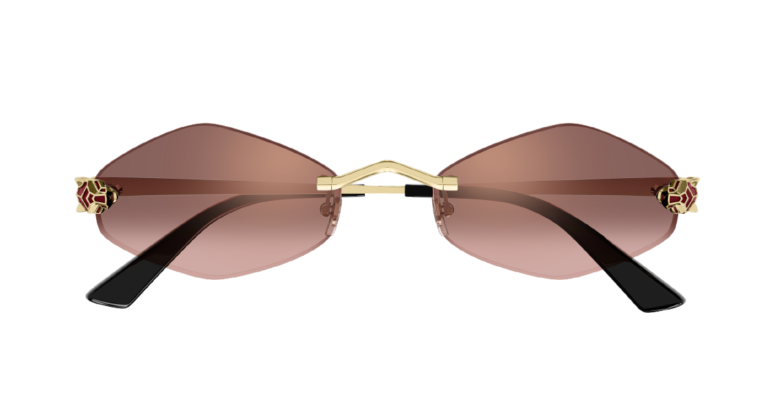 Солнцезащитные очки Cartier CT0433S 006