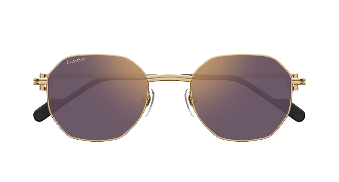 Солнцезащитные очки Cartier CT0500S 004