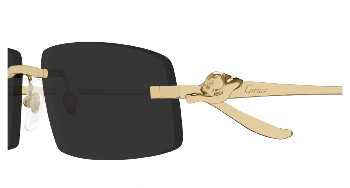 Солнцезащитные очки Cartier CT0505S 001