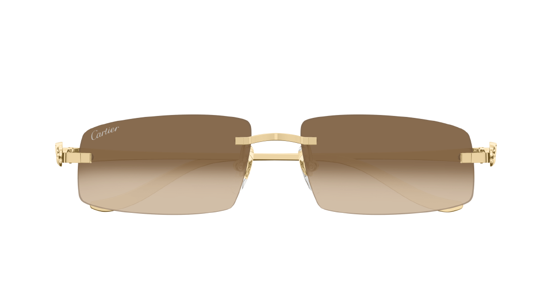 Солнцезащитные очки Cartier CT0505S 003