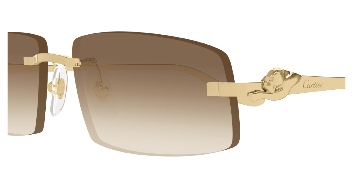 Солнцезащитные очки Cartier CT0505S 003