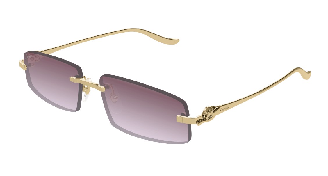 Солнцезащитные очки Cartier CT0505S 004