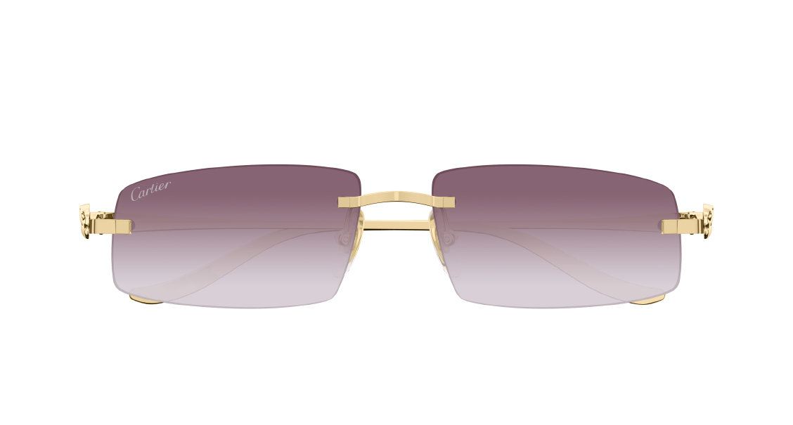 Солнцезащитные очки Cartier CT0505S 004