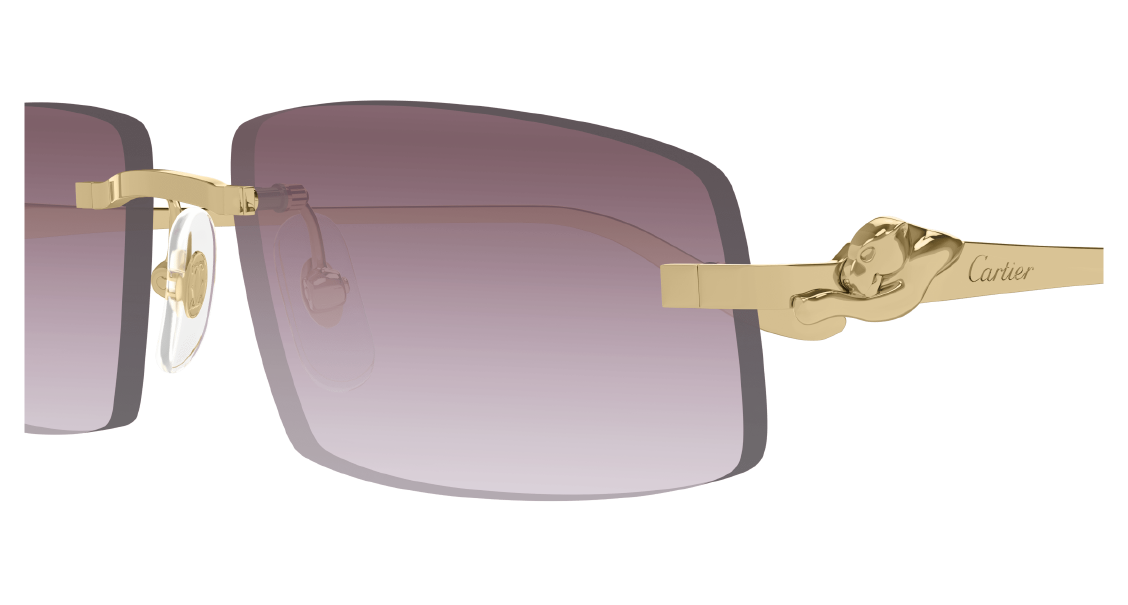 Солнцезащитные очки Cartier CT0505S 004