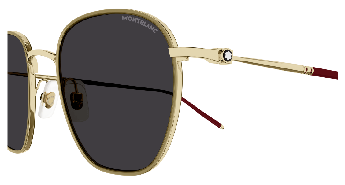 Солнцезащитные очки Montblanc MB0160S 010