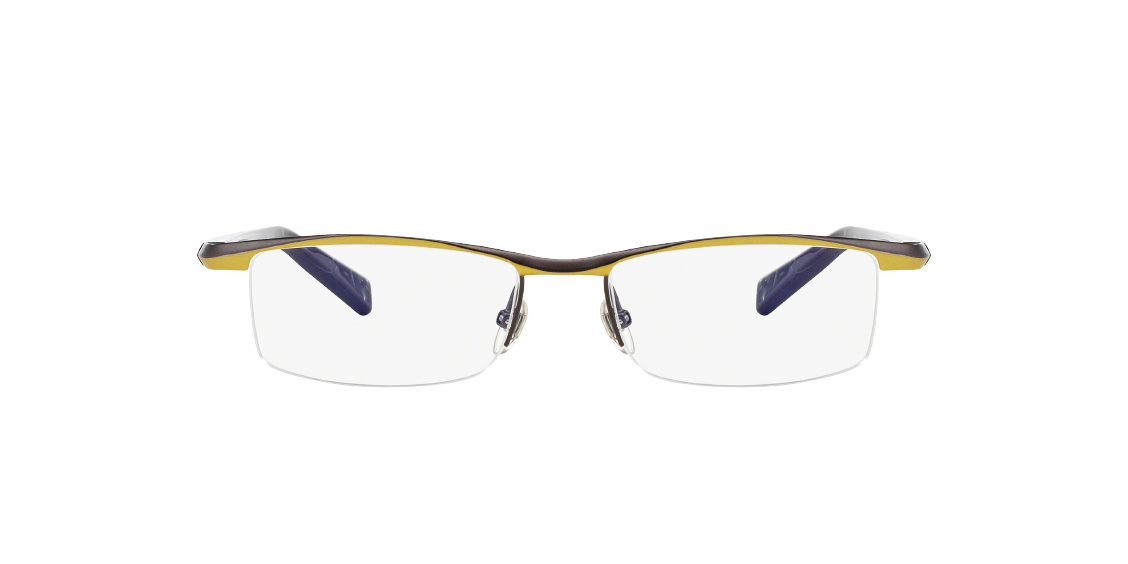 Оптическая оправа Alain Mikli AL0542 A00542 3032