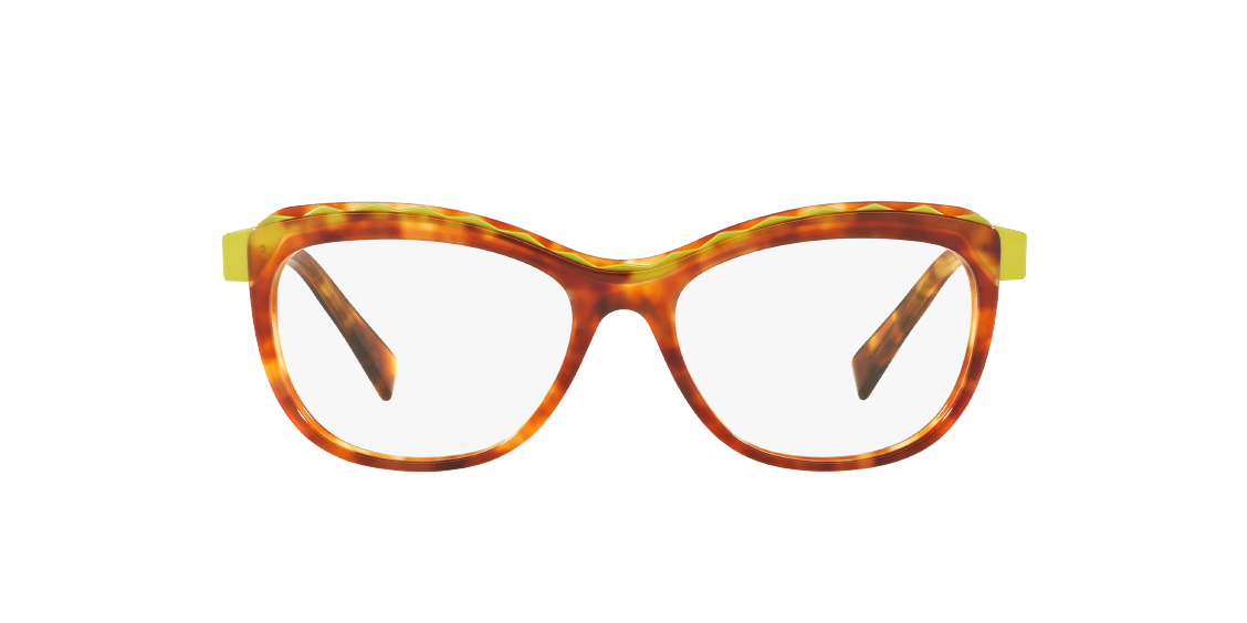 Оптическая оправа Alain Mikli A02019 1704