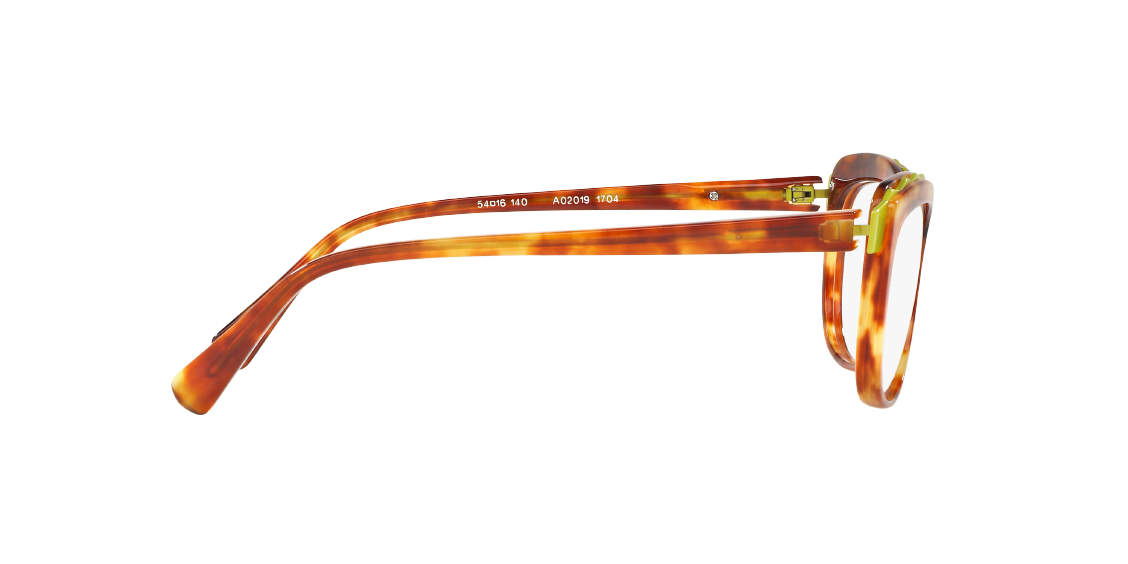 Оптическая оправа Alain Mikli A02019 1704