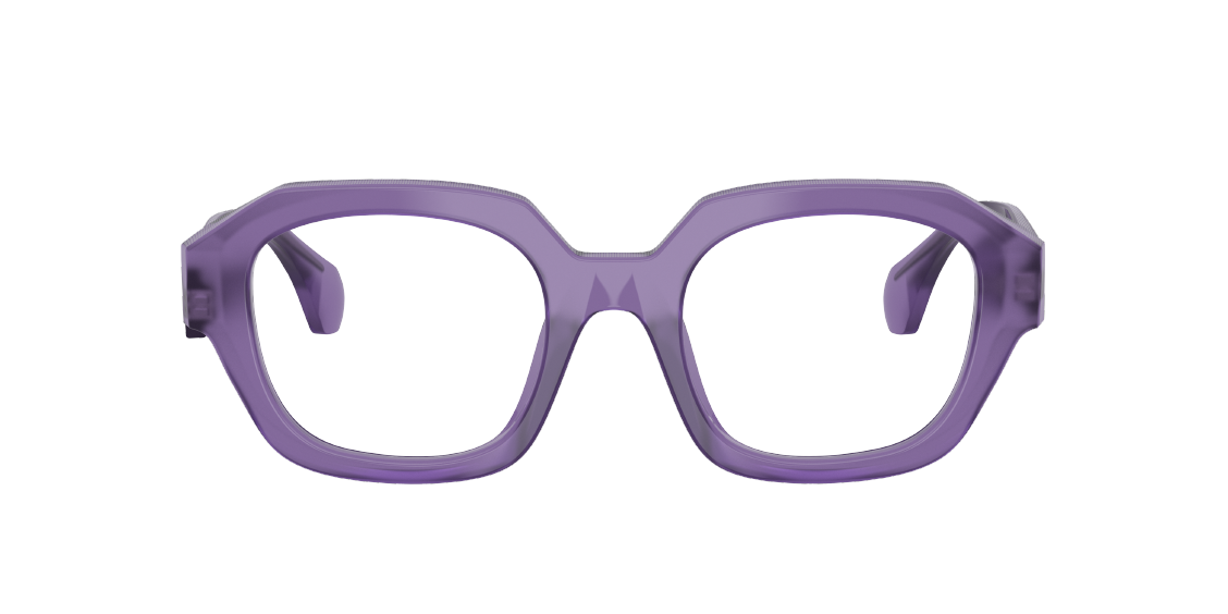 Оптическая оправа Alain Mikli A03510M 005