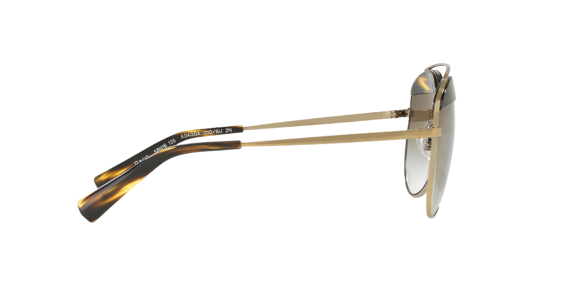 Солнцезащитные очки Alain Mikli Paon A04004 010/6U