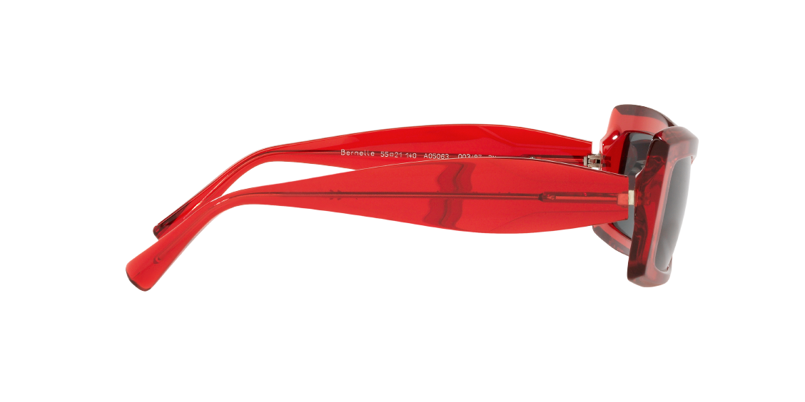 Солнцезащитные очки Alain Mikli Bernelle A05063 003/87