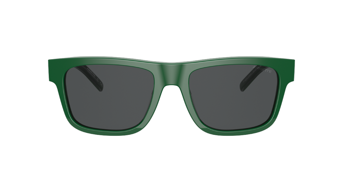 Солнцезащитные очки Arnette Post Malone+Arnette AN4279 120687