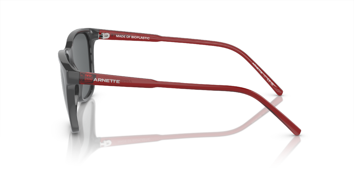 Солнцезащитные очки Arnette Cortex AN4291 28416G