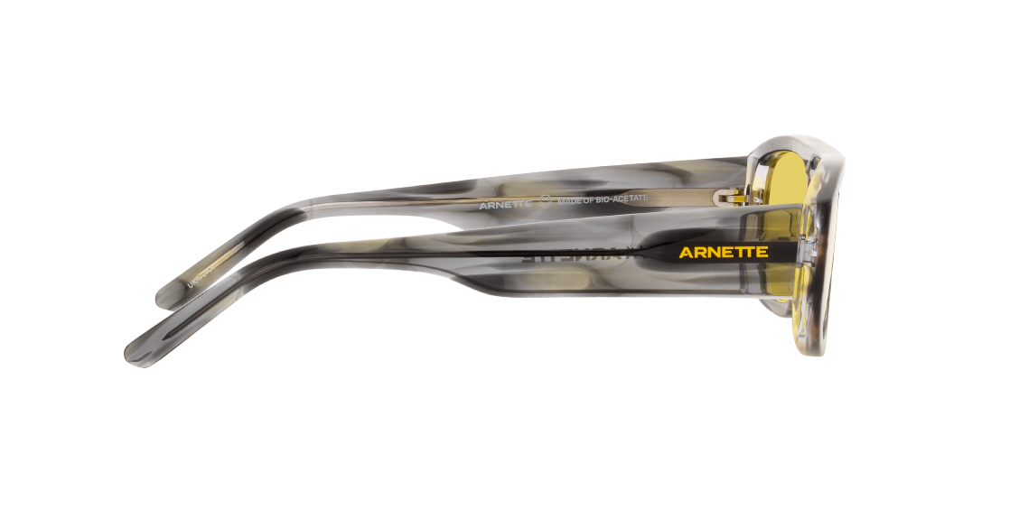Arnette Gullwing AN4292 121685