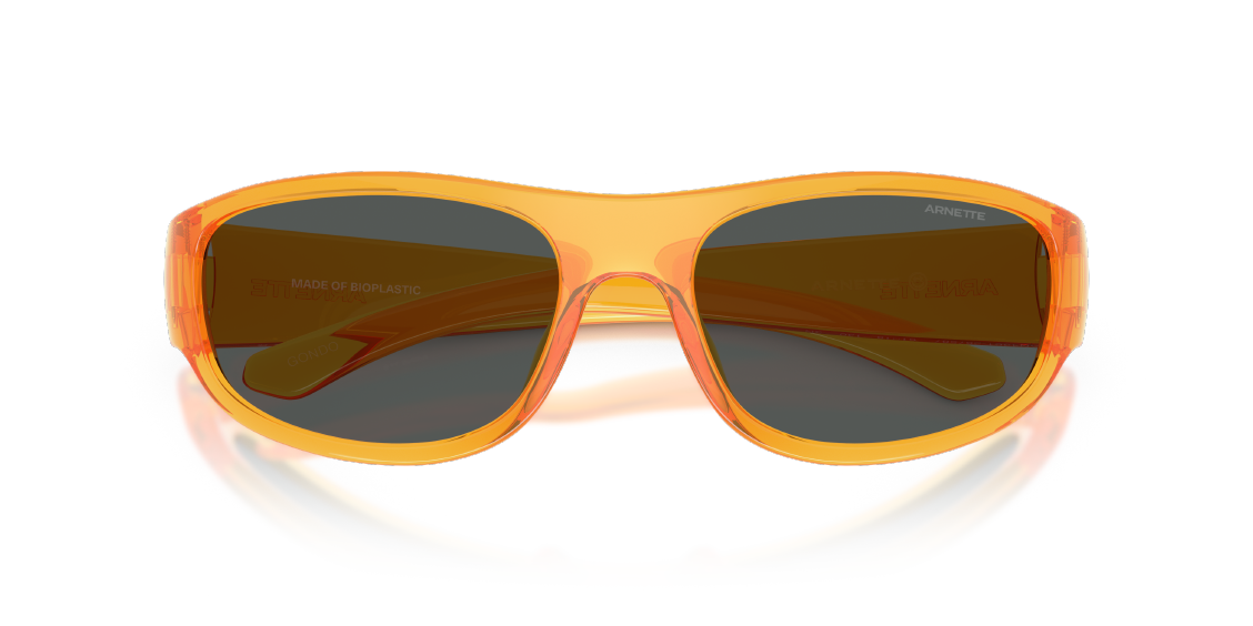 Солнцезащитные очки Arnette Gondo AN4361 287587