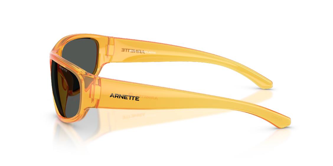 Солнцезащитные очки Arnette Gondo AN4361 287587