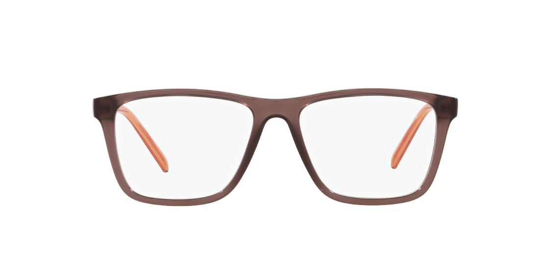 Оптическая оправа Arnette Big Bad AN7201 2773