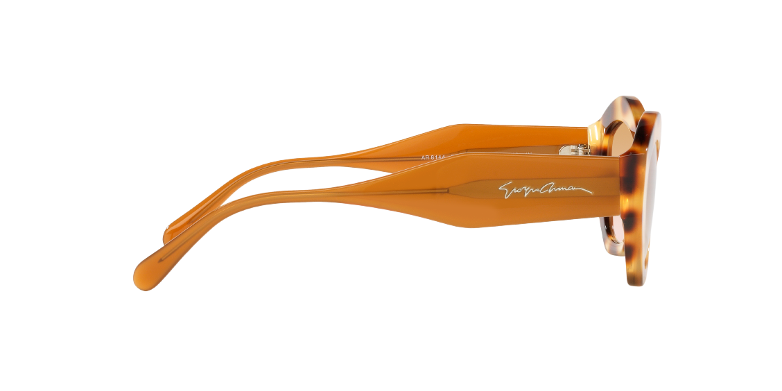 Солнцезащитные очки Giorgio Armani AR8144 588013