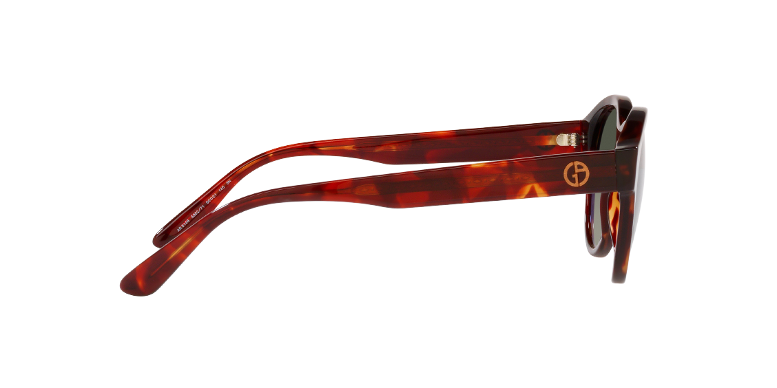 Солнцезащитные очки Giorgio Armani AR8146 596271