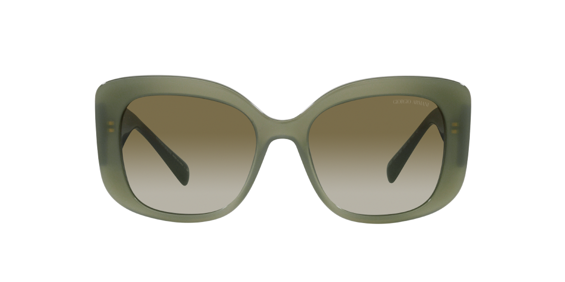 Солнцезащитные очки Giorgio Armani AR8150 59068E