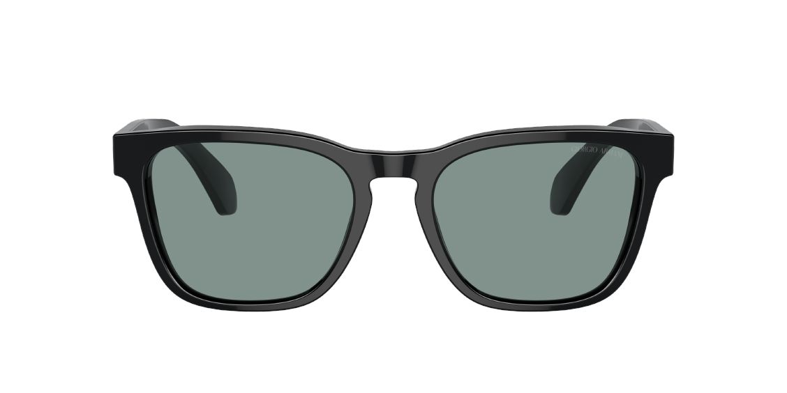 Солнцезащитные очки Giorgio Armani AR8155 587556