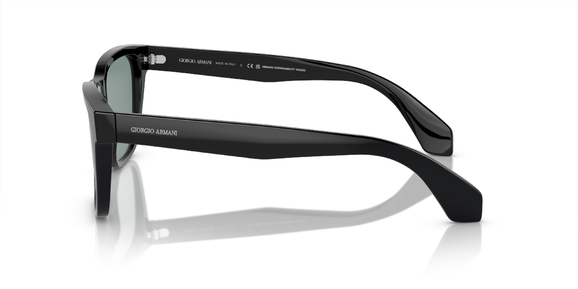 Солнцезащитные очки Giorgio Armani AR8155 587556