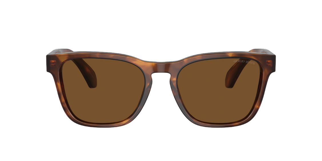 Солнцезащитные очки Giorgio Armani AR8155 598857